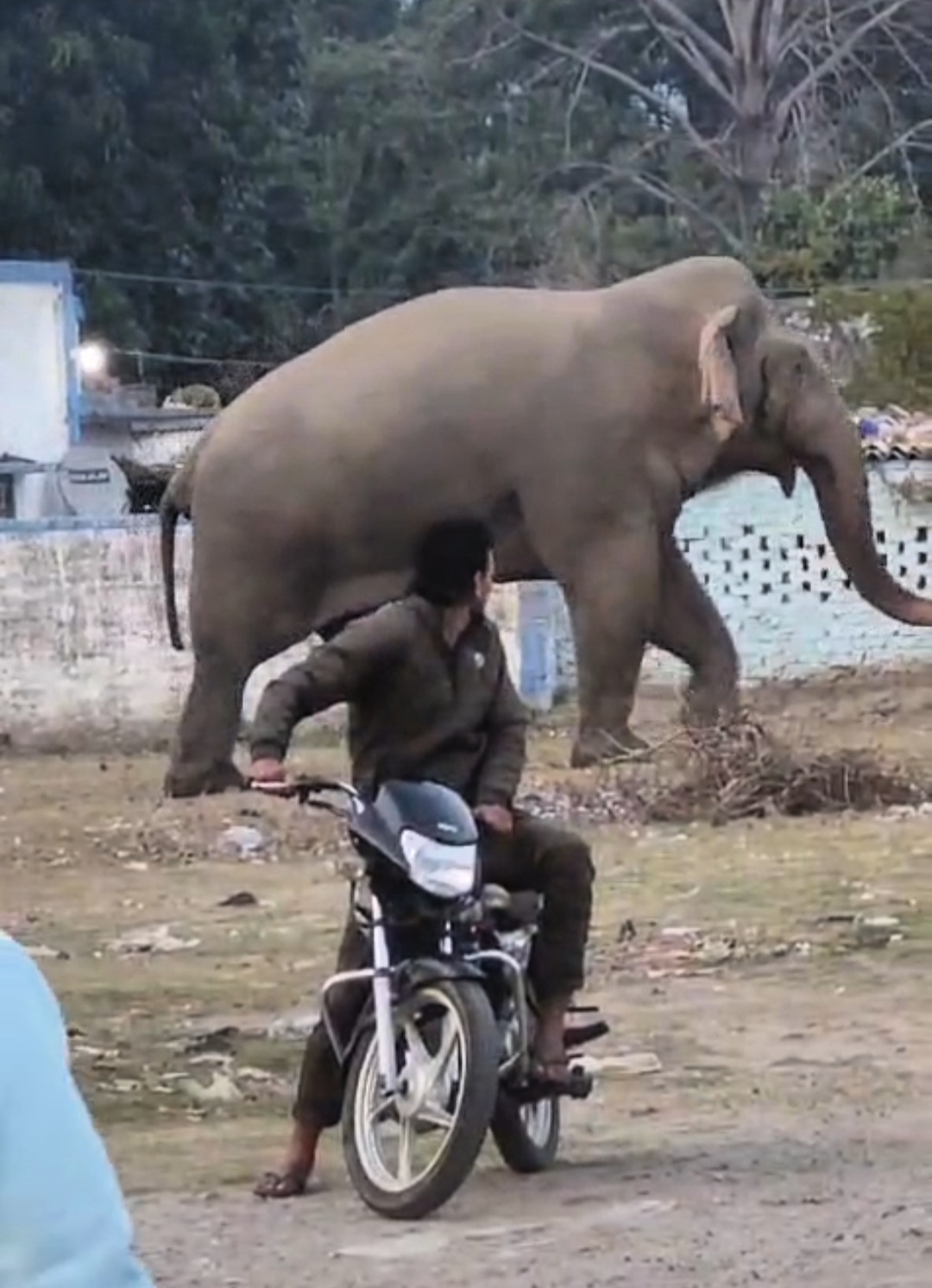 Breaking :- जंगल से निकल आबादी में पहुंचा हाथी, मची अफरा तफरी, देखें Video