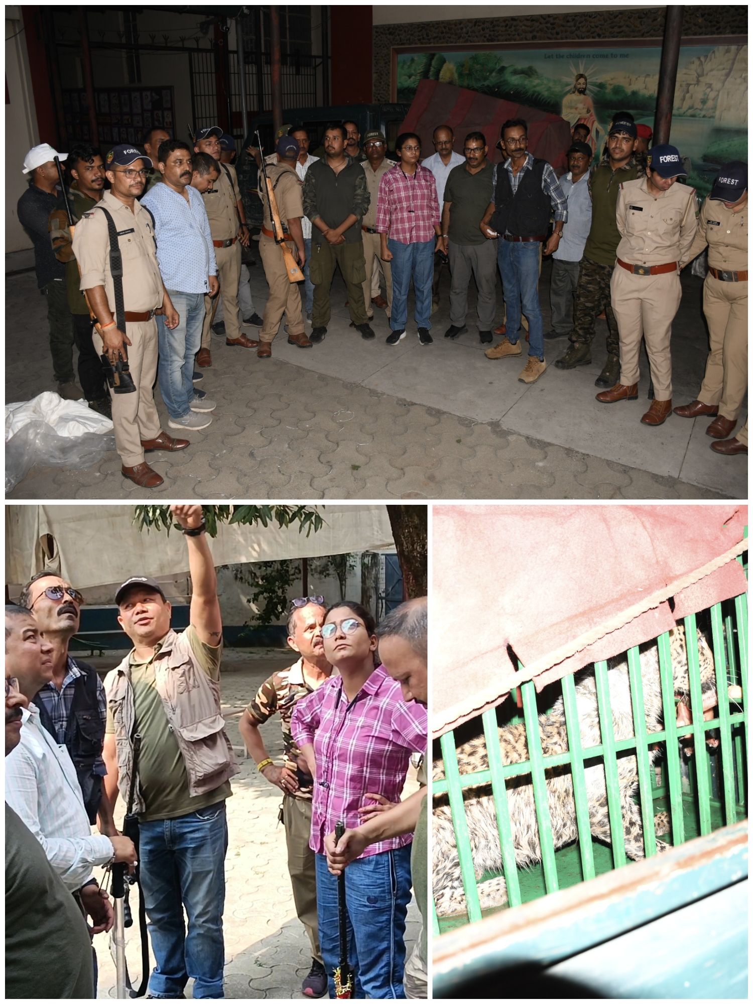 उत्तराखंड हल्द्वानी: काठगोदाम स्थित निजी स्कूलों में गुलदार के पहुंचने से मचा हड़कंप, 11 घंटे की मशक्कत के बाद वन विभाग ने किया रेस्क्यू। देखें Video