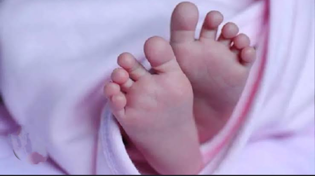 उत्तराखंड: ममता हुई शर्मशार, कूड़े के ढेर में मिला नवजात का शव