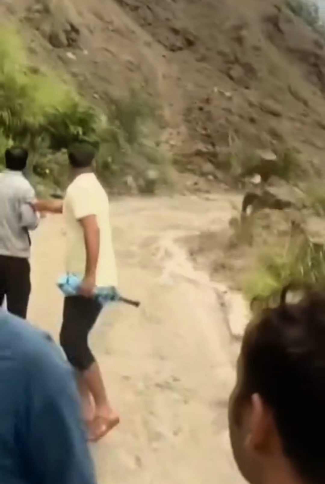 उत्तराखंड:-पहाड़ी से गिर रहे पत्थरों की चपेट में आया बुजुर्ग, हायर सेंटर रेफर.. देखें Video