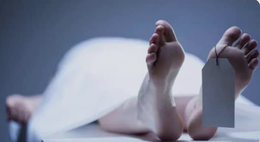 खड़े वाहन में मिले दो लोगों के शव, ठंड से मौत की आशंका……. 