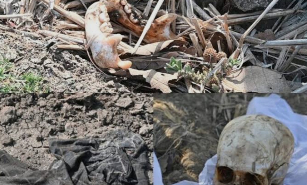 7 महीने बाद मिला लापता शख्स का कंकाल, इलाके में सनसनी….