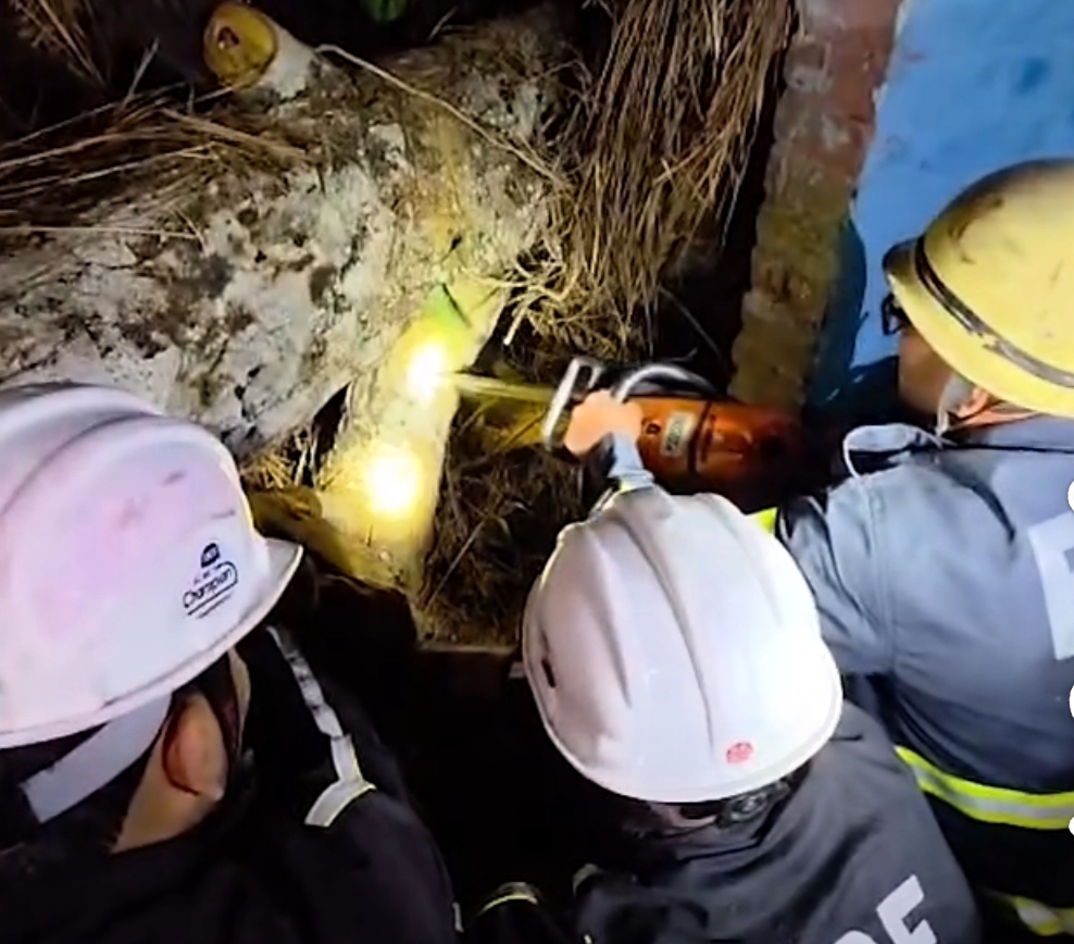 काल बनकर आई आंधी, पेड़ की चपेट में आने से बालक की मौत…