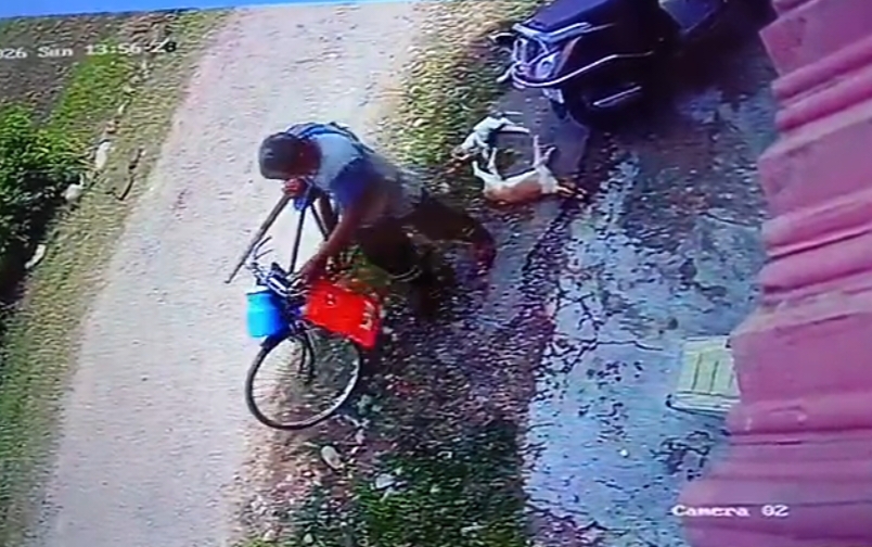 बेजुबानों को बेरहमी से पीटने का वीडियो वायरल, पुलिस ने आरोपी का काटा चालान..Video…..